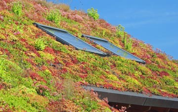 Bradnor Green living roof systems